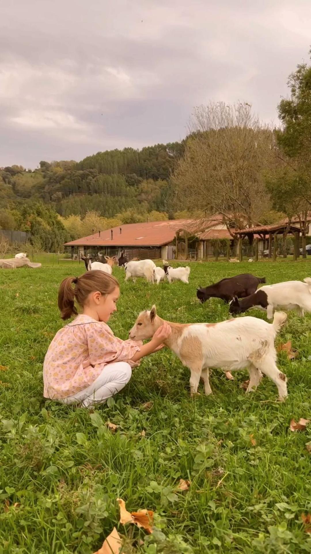 Casa Rural Jesuskoa Zumaia Luaran gambar