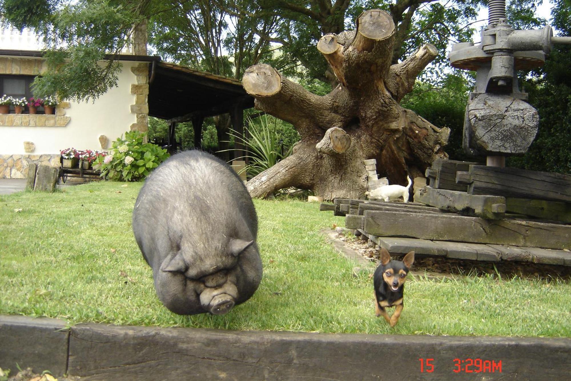 Casa Rural Jesuskoa Zumaia Luaran gambar